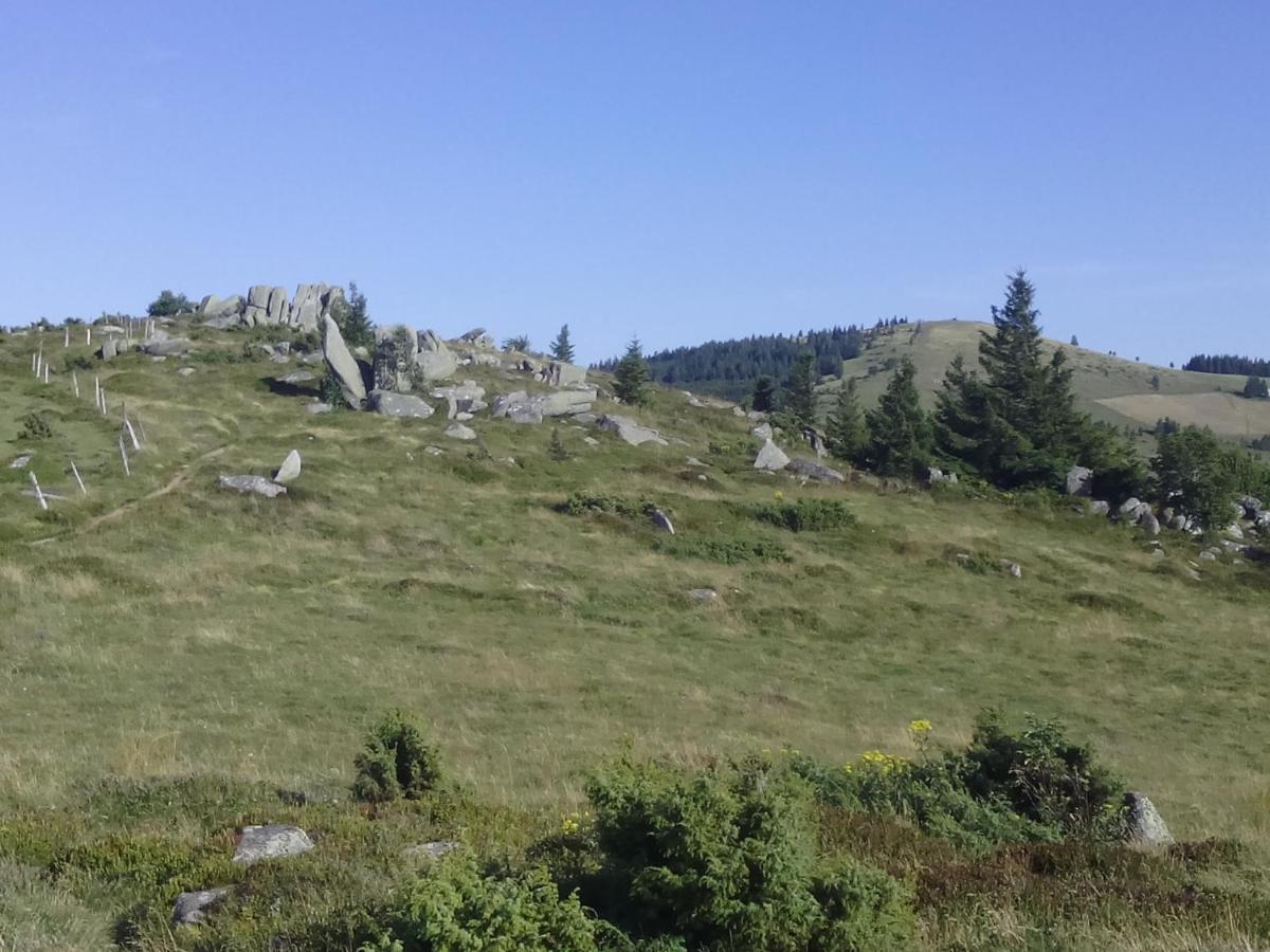 Le Gite Du Leymel Luttenbach-près-Munster Eksteriør billede